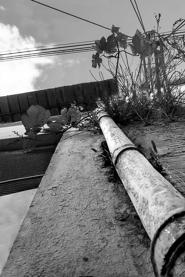 Always higher n°6