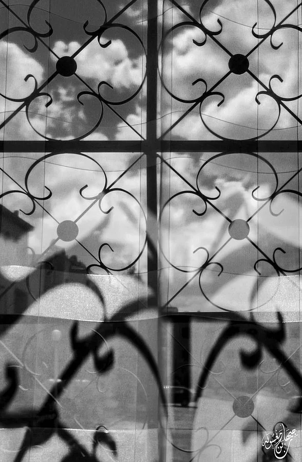 Window