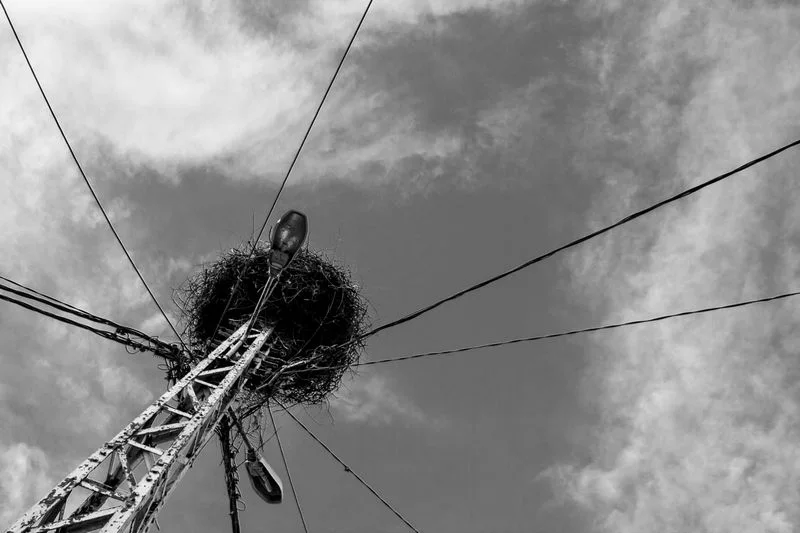 Yarn 1